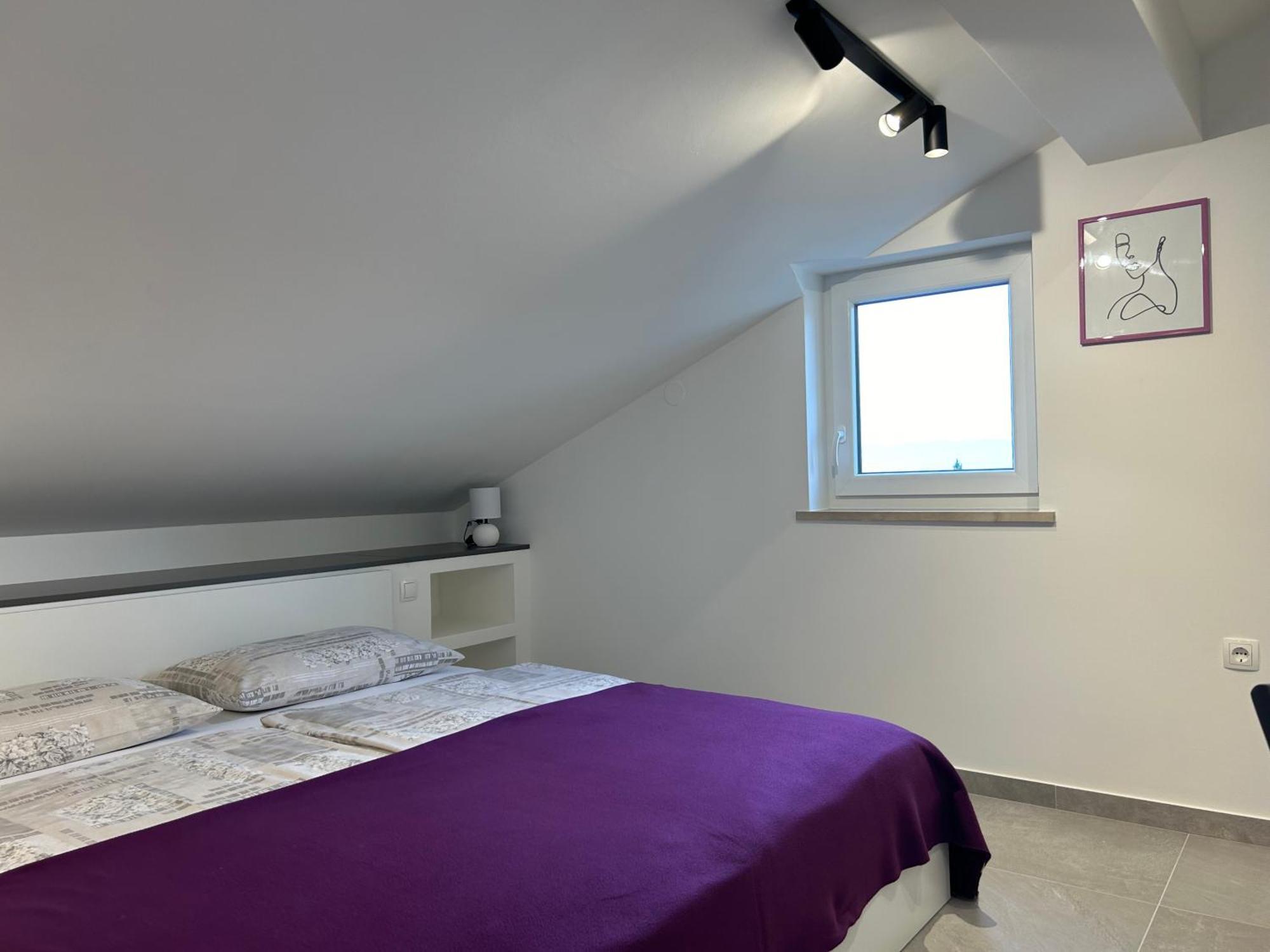 Apartment Zic